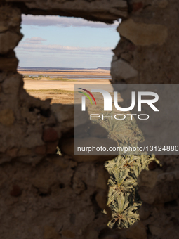 Temple Of The Oracle, Siwa, Egypt.