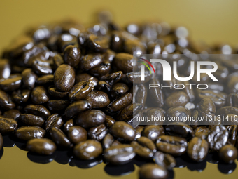 Coffee Beans - Photo Illustration