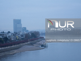 Frost Early Morning  In Bonn