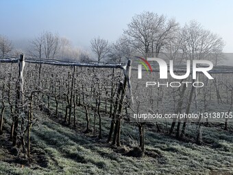 Extreme Cold In The Village Of Veranne In France