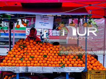 Orange Festival At Mugling Bazaar, Chitwan, Nepal