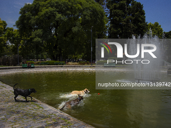 Extreme Heat In The AMBA: The Temperature Will Reach Almost 40 Degrees