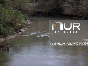 Buffalo Bayou In Houston