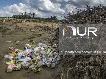 Leuser's Grief Under The Shadow Of Tropical Cyclone Senyar Catastrophe