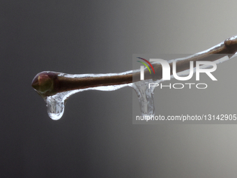 Freezing Rain Caused Ice Build-up In Toronto