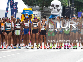 São Silvestre International Race
