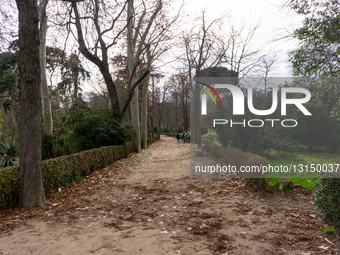 Everyday Life In El Retiro Park In The First Days Of 2026