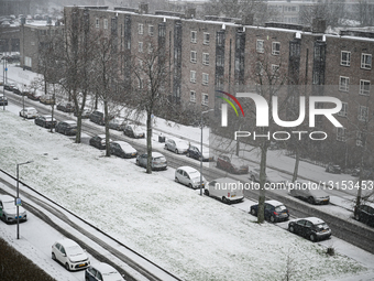 Snowfall Disrupts Travel Across The Netherlands