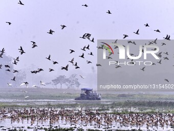 INDIA-ENVIRONMENT-WILDLIFE