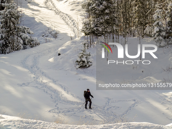 Lone Hiker Navigates A Snowy Forest Trail In Reutte In Tyrol