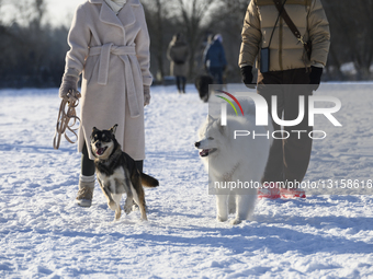 Daily Life In Warsaw.