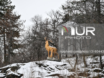 Khortytsia Island in southeastern Ukraine in winter.