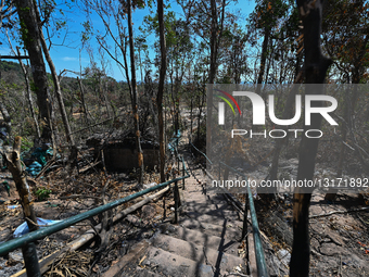 Ta Kwai Temple After A Ceasefire Agreement 