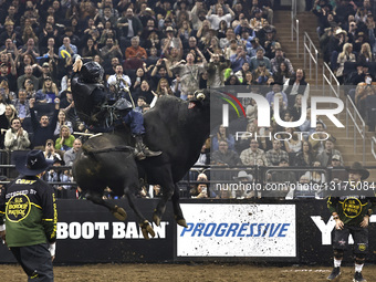 PBR Monster Energy Buck Off New York City