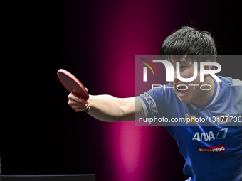 WTT Champions Doha 2026