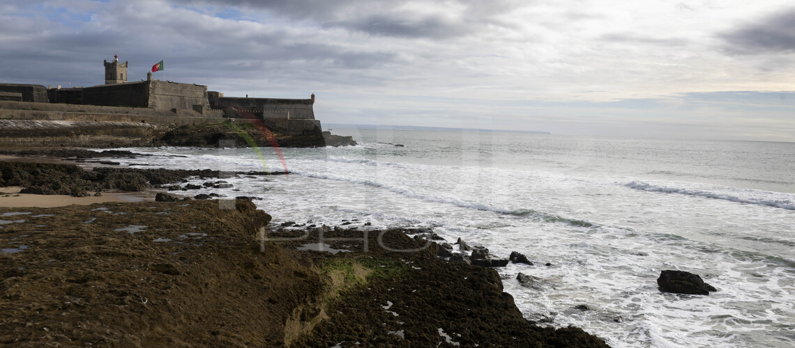 Lifestyle and Leisure