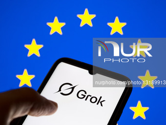 Grok - European Union