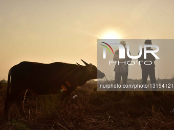 Magh Bihu Festival In Assam