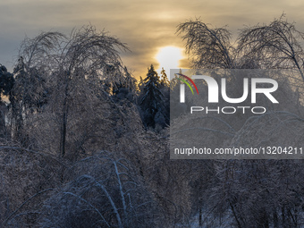 Evening in Kyiv region after freezing rain and blizzard.