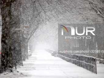Snowfall In New York, US