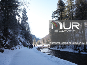 Tatra National Park In Zakopane