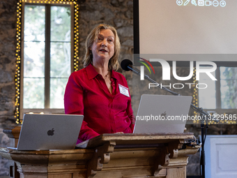 Eliza Tutor, Executive Director, Nevada County Arts Council 