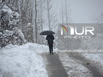 Heavy Snowfall Hits Kashmir Region In India