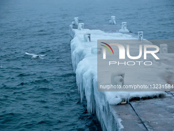 Winter morning in Odesa.