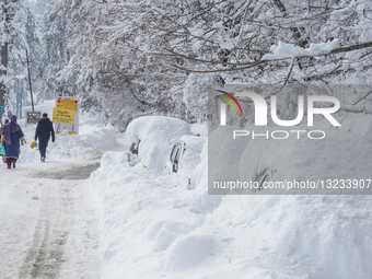 Snowstorm In Kashmir 