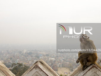 Air Pollution Spikes In Kathmandu With Drop In Temperature
