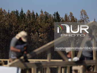 Aftermath Of A Wildfire That Ravaged Lirquen, Chile