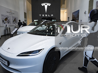 Tesla Korea Debuts Budget-Friendly Model 3 Standard RWD in Seoul Showroom