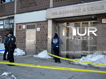 Human Remains Of Adult Female Found At 330 Bushwick Avenue