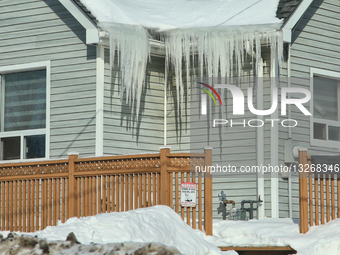 Daily Life During Winter In Toronto
