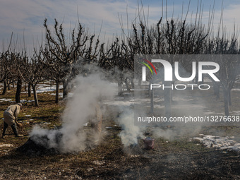 Daily Life In Kashmir