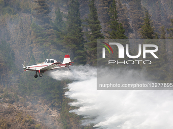 Hidrantes Incendios Forestales