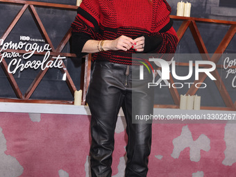 Como Agua Para Chocolate Press Conference