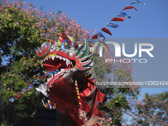Chinese New Year In Buenos Aires