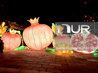 Large-scale Festive Lantern.