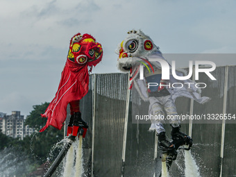 Lion Dance Performance At A Shopping Mall In Jakarta, Indonesia