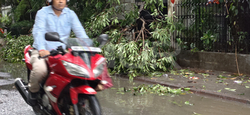 Gallery cover photo: Heavy Rainfall In Kolkata