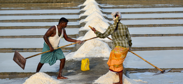 Gallery cover photo: India Salt Harvest 