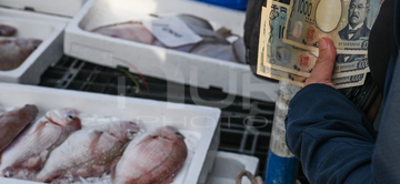 Gallery cover photo: Daily Life And Coastal Fishing Culture In Saikazaki