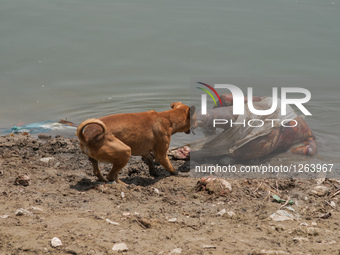 An unidentified dead body in Varanasi