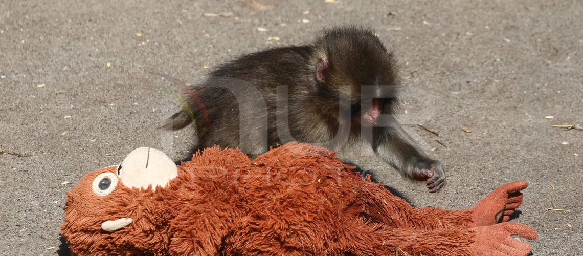 Lifestyle and Leisure