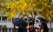 Students walk as they use umbrellas to take shelter from the sun during a heatwave in Dhak...
