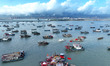  Fishing boats berth to take shelter from Super Typhoon Khanun at Liandao Central fishing...
