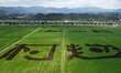 QIANDONGNAN, CHINA - AUGUST 30, 2023 - Aerial photo shows the words ''Come on for the Beau...