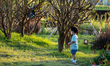 A boy walking in a park on October 25, 2023 in Hong Kong, China. John Lee announce his sec...