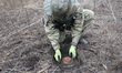 KHARKIV REGION, UKRAINE - OCTOBER 24, 2023 - A sapper defuses an anti-tank mine as a conso...